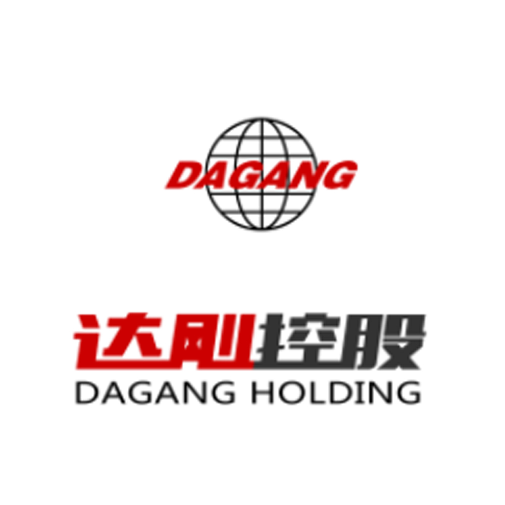 達(dá)剛控股